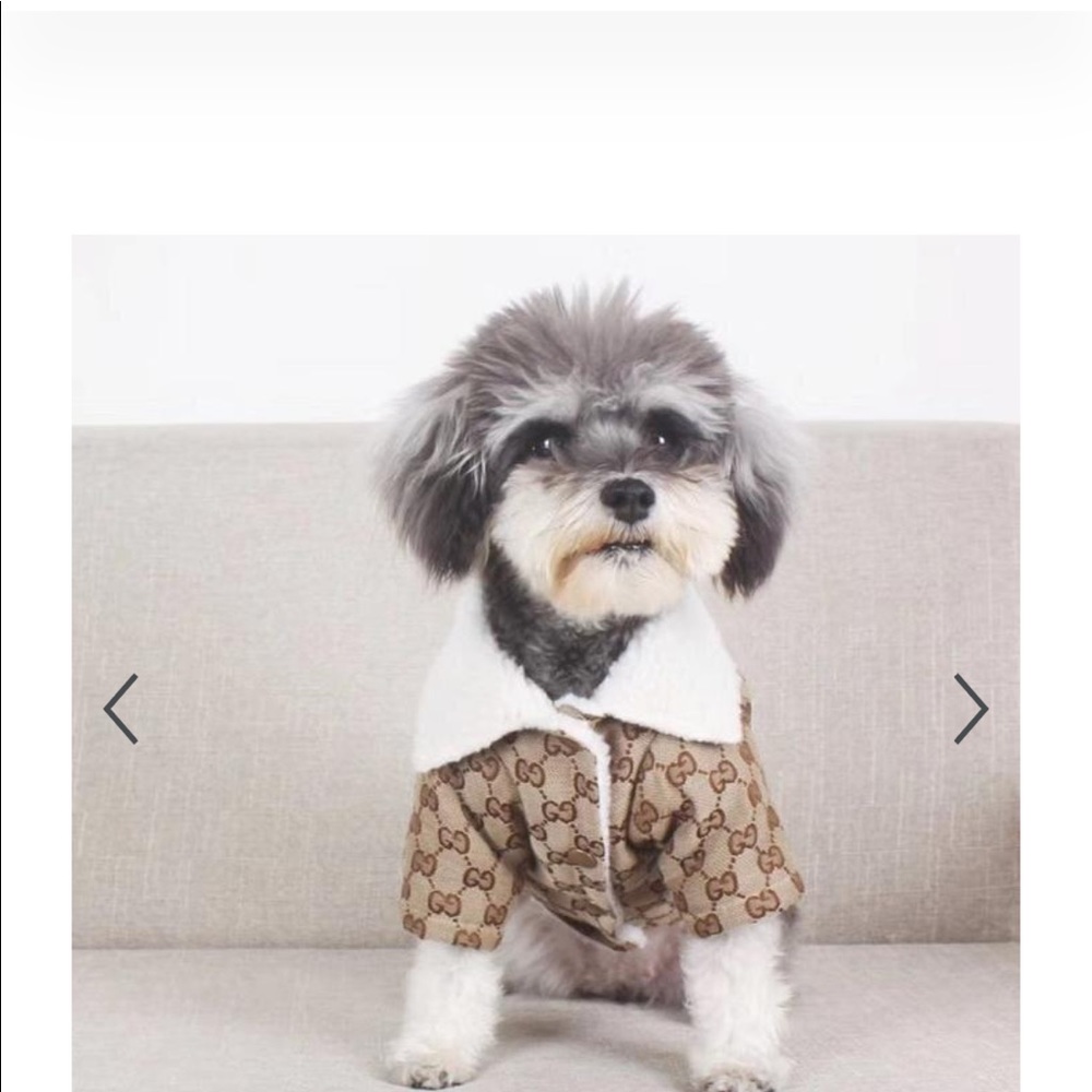 Gucci Dog Coat